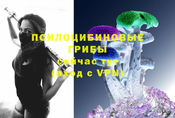 молекула духа Зеленокумск