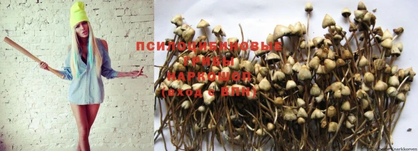 молекула духа Зеленокумск